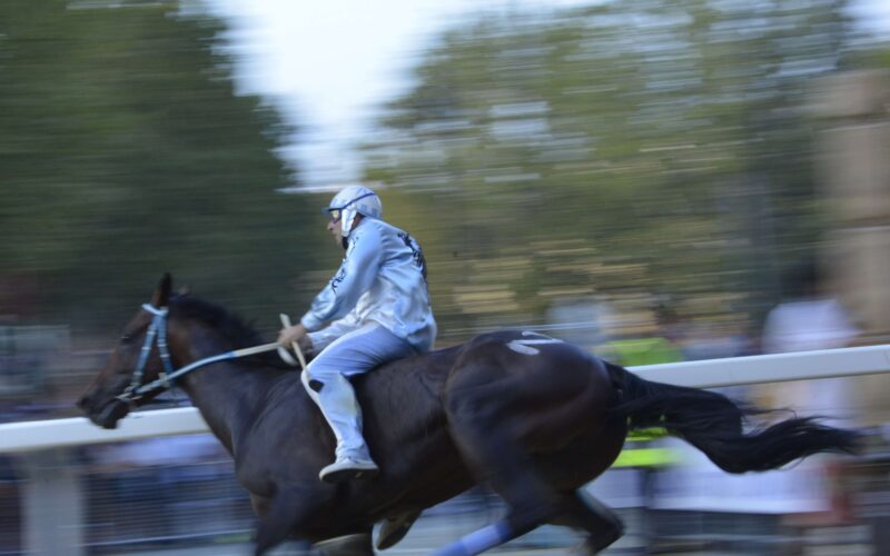 Palio
